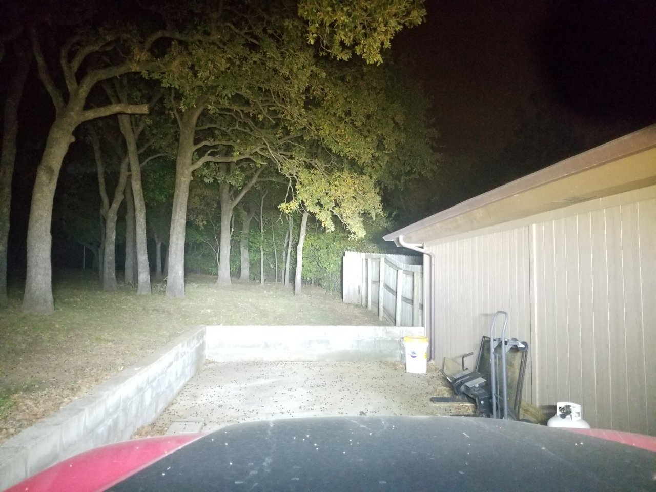 20191106_203637.jpg