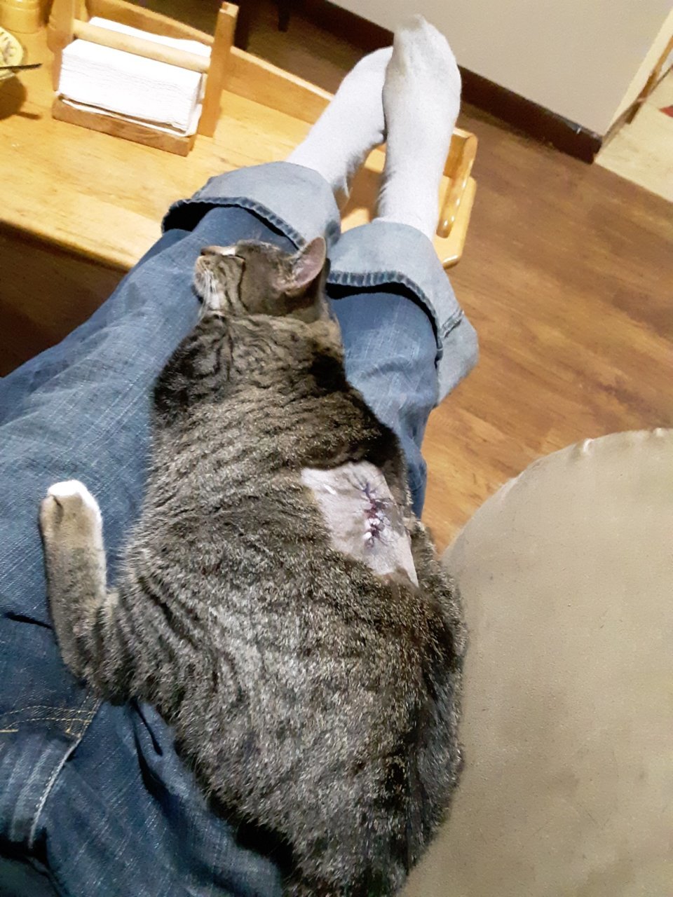 20191106_204604_resized.jpg