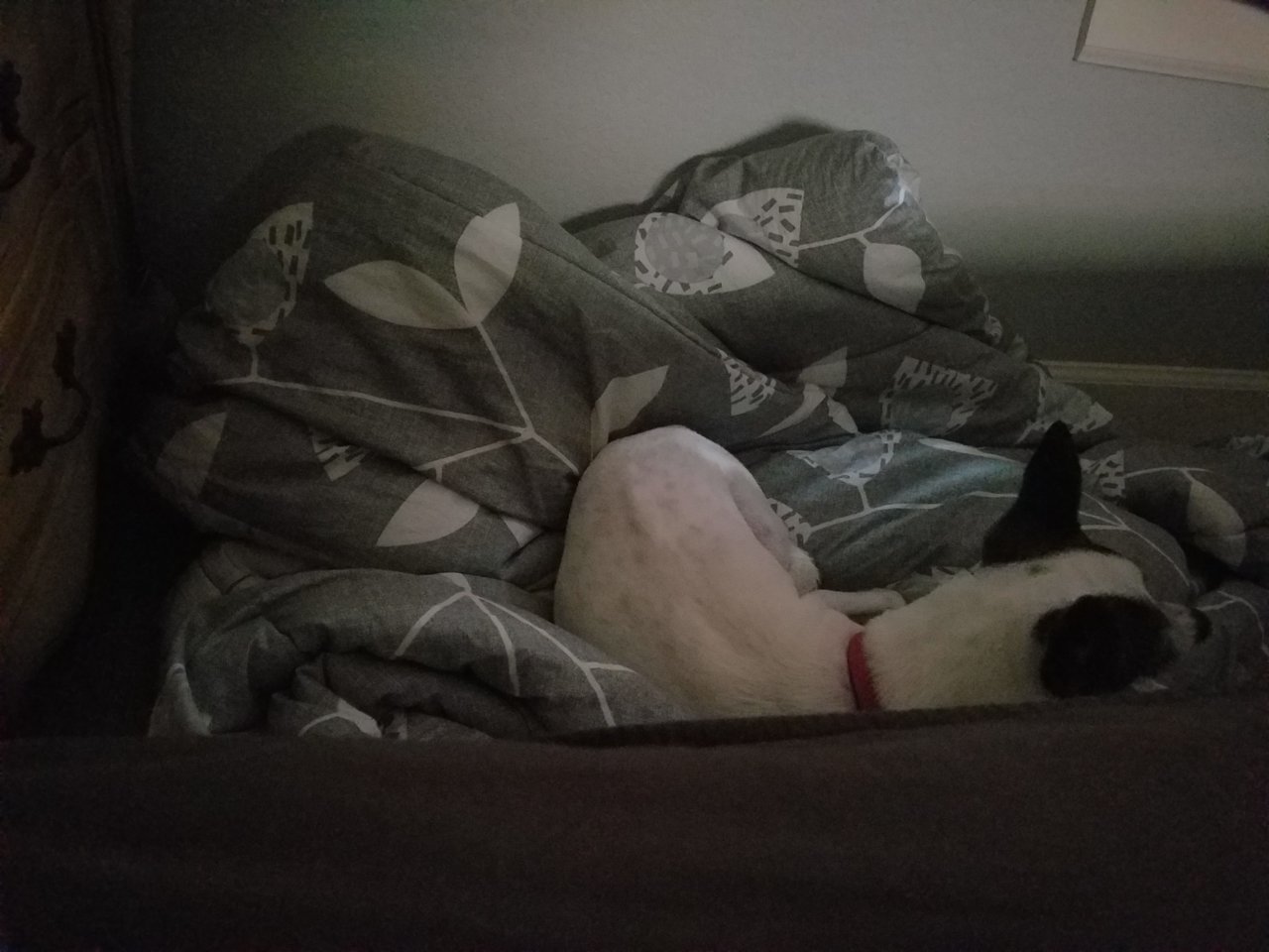 20191107_083634.jpg