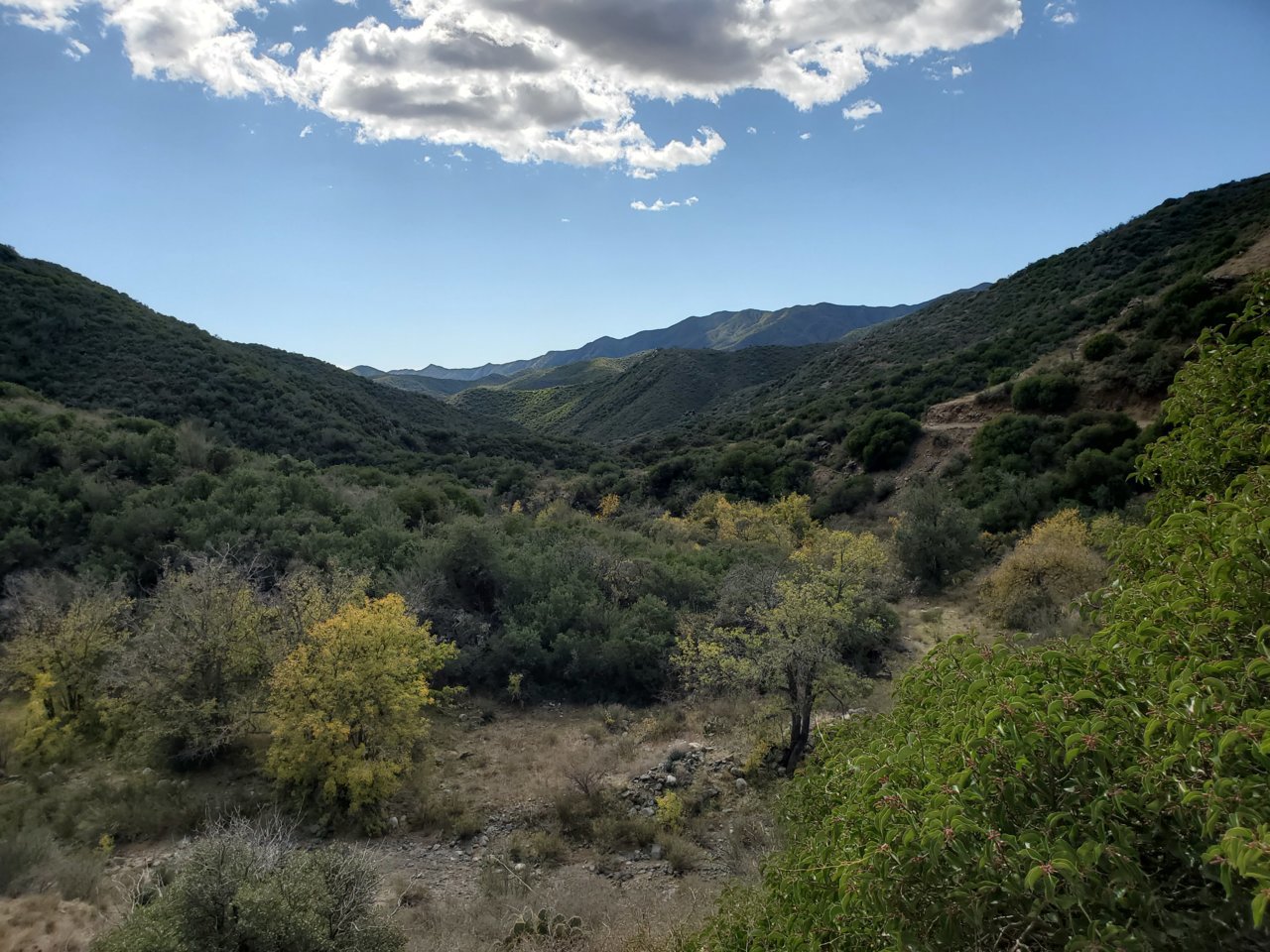 20191107_124639.jpg