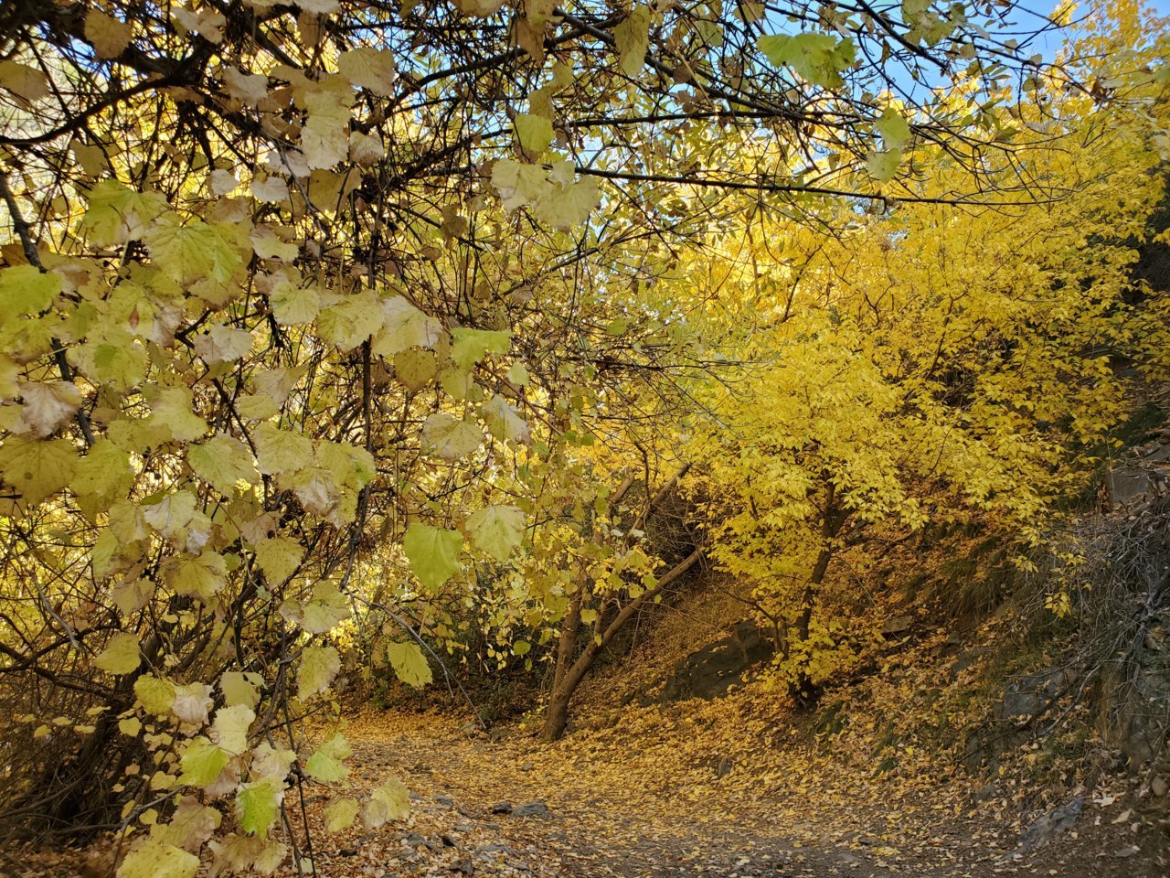 20191107_130456.jpg
