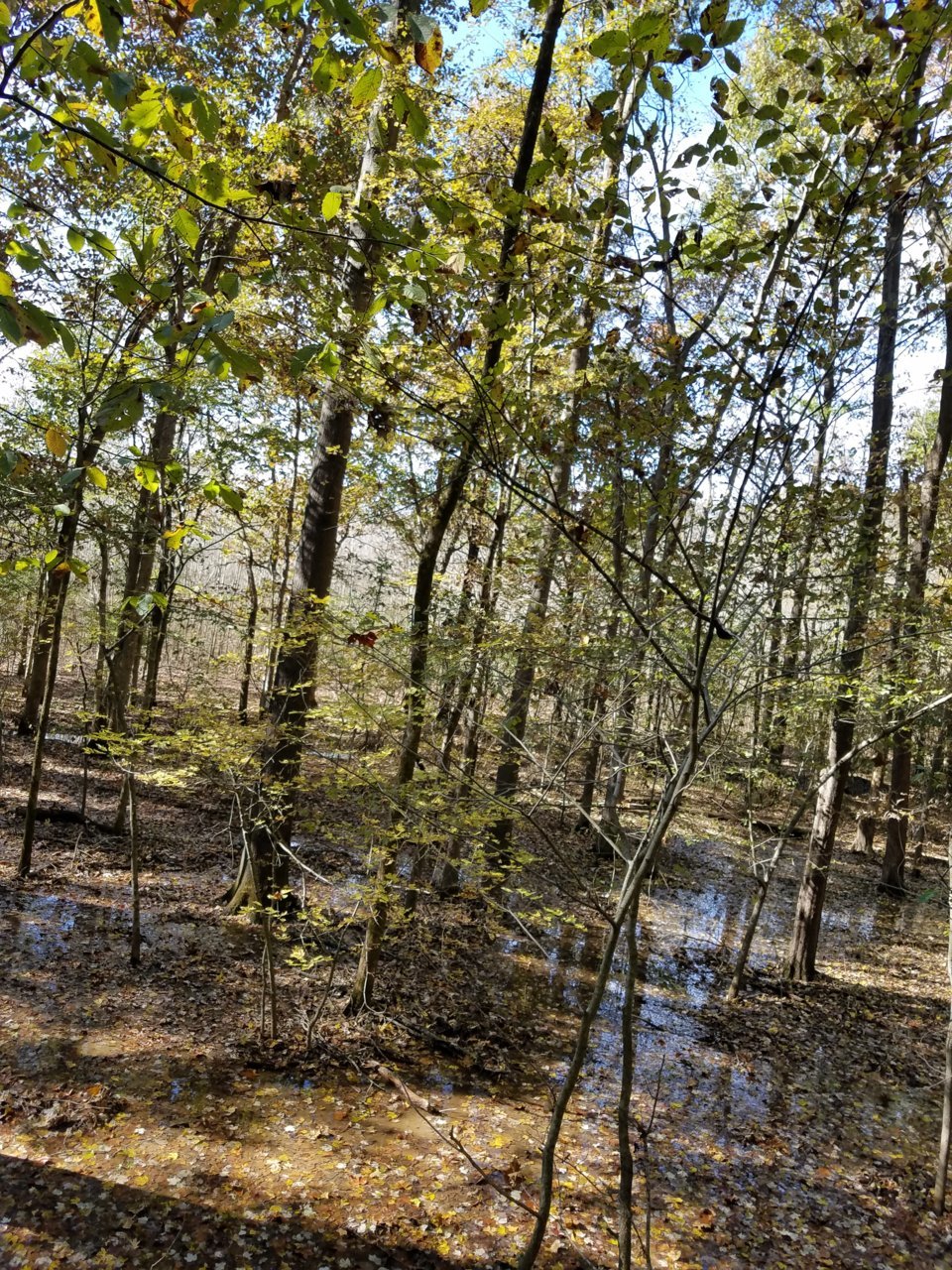 20191108_130810.jpg