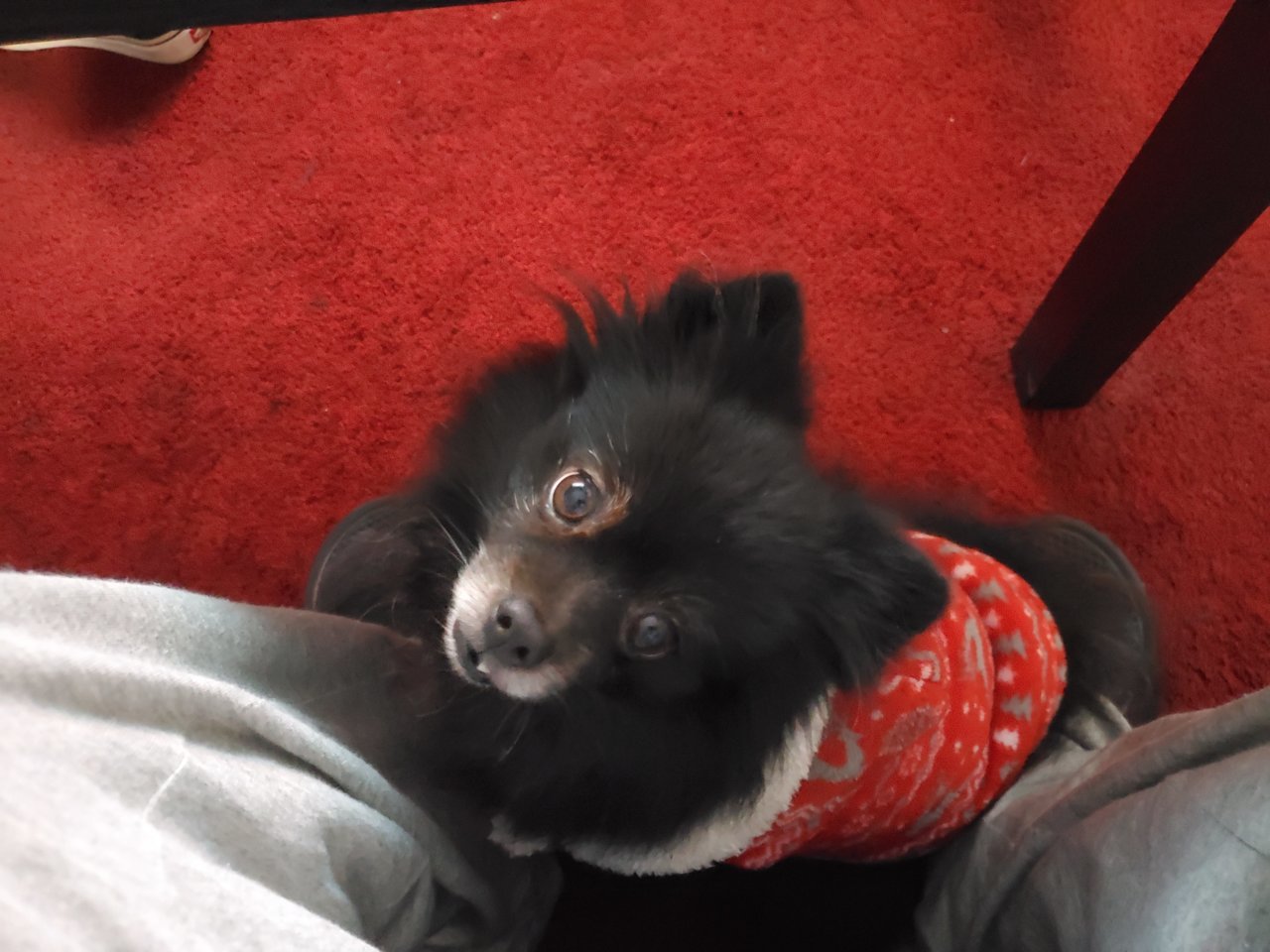 20191108_212630.jpg