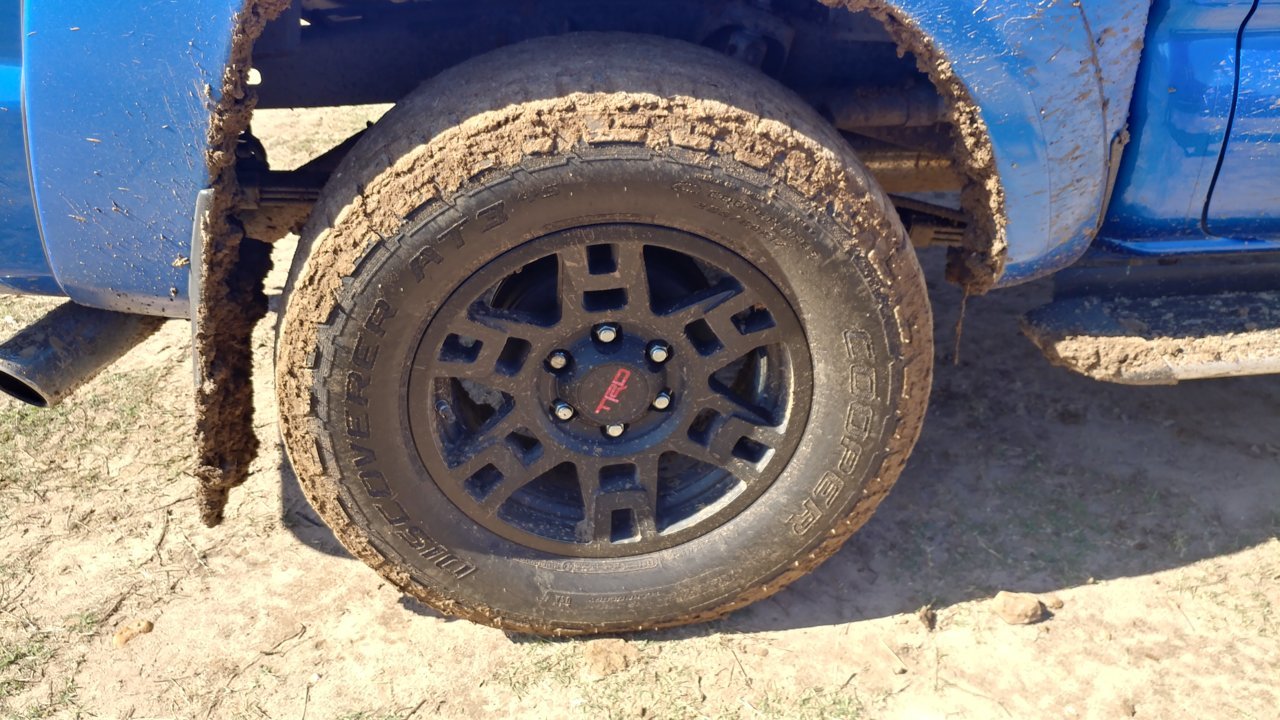 20191109_112030_HDR.jpg