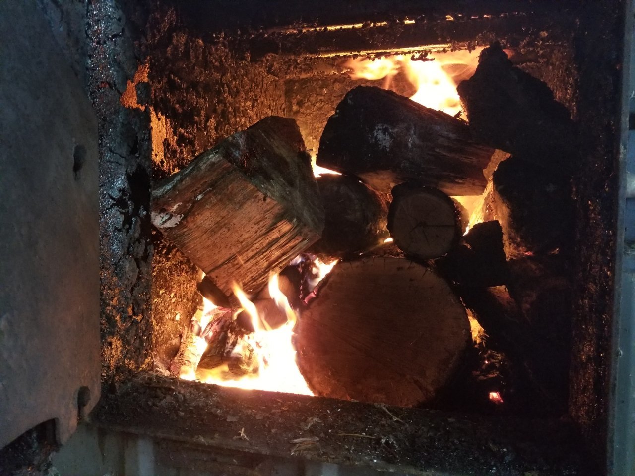 20191109_134017.jpg