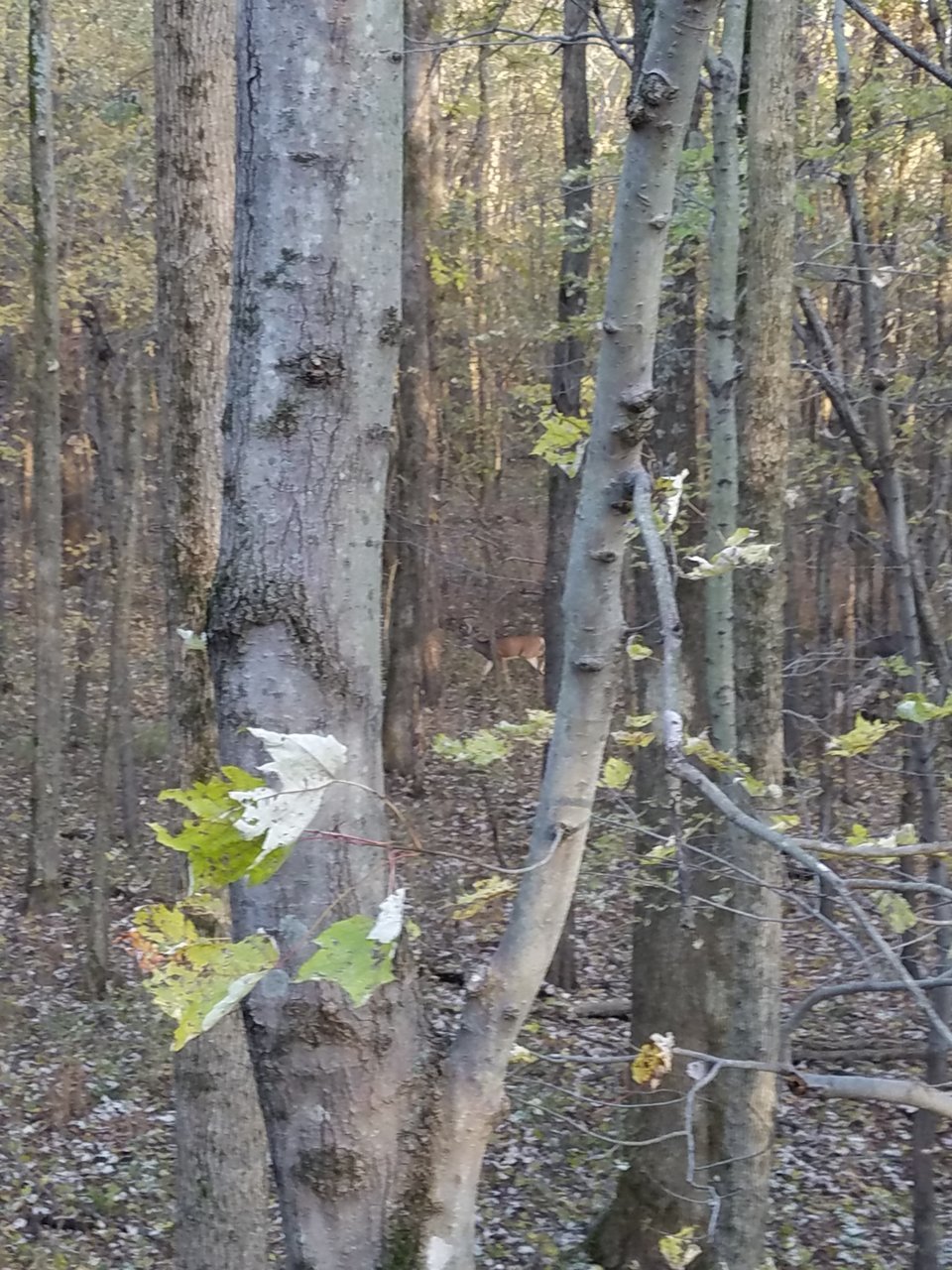 20191109_160827.jpg