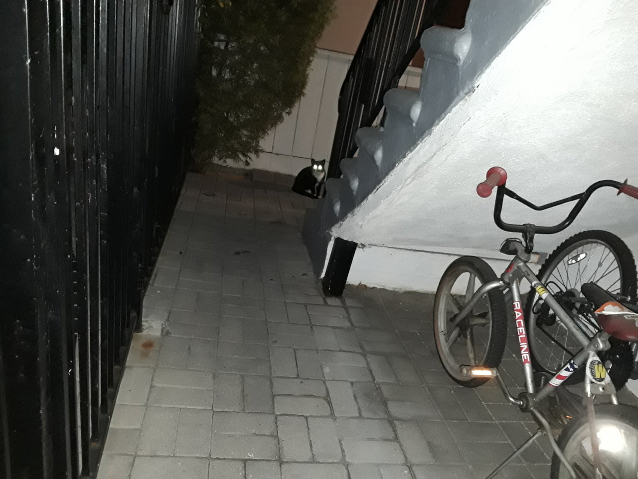 20191109_184954.jpg