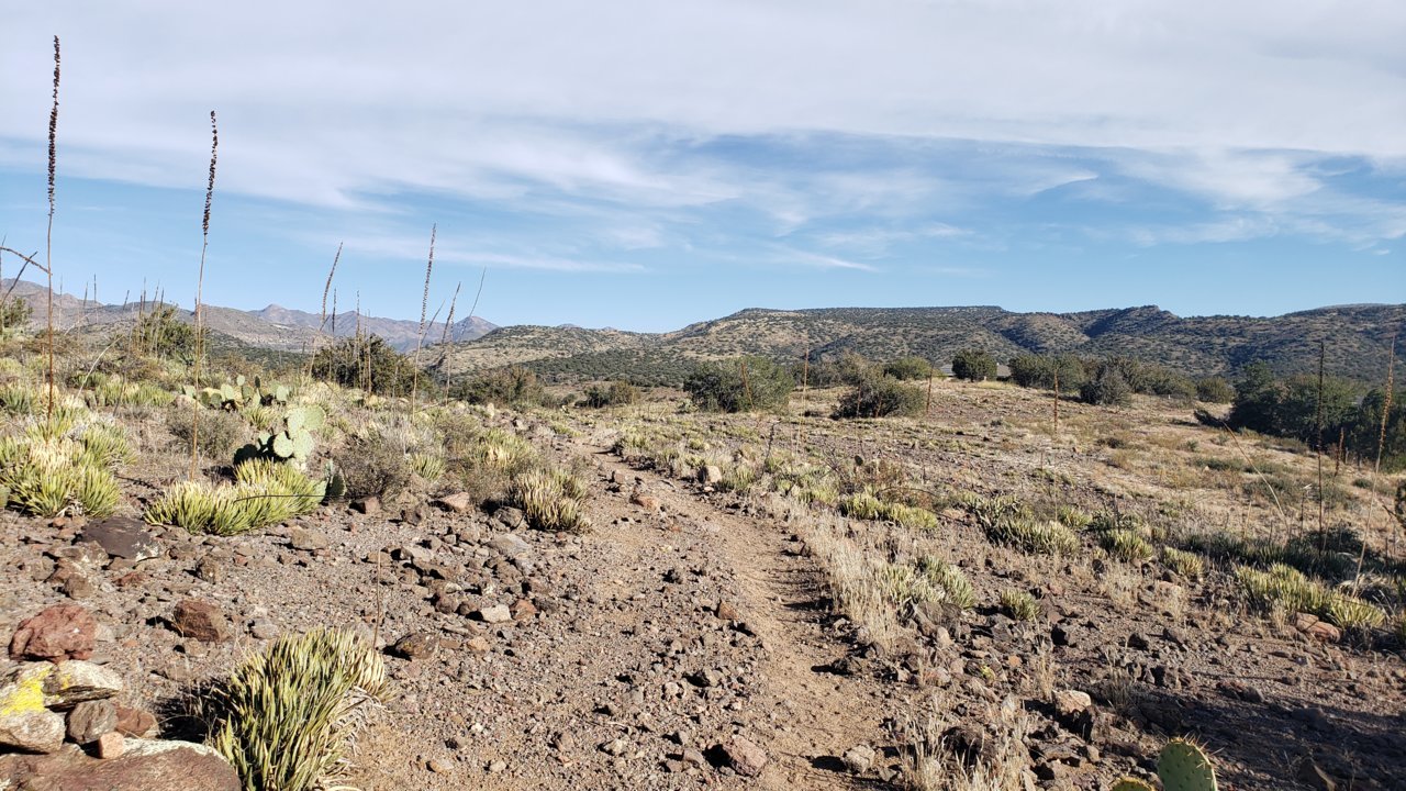 20191110_090933.jpg