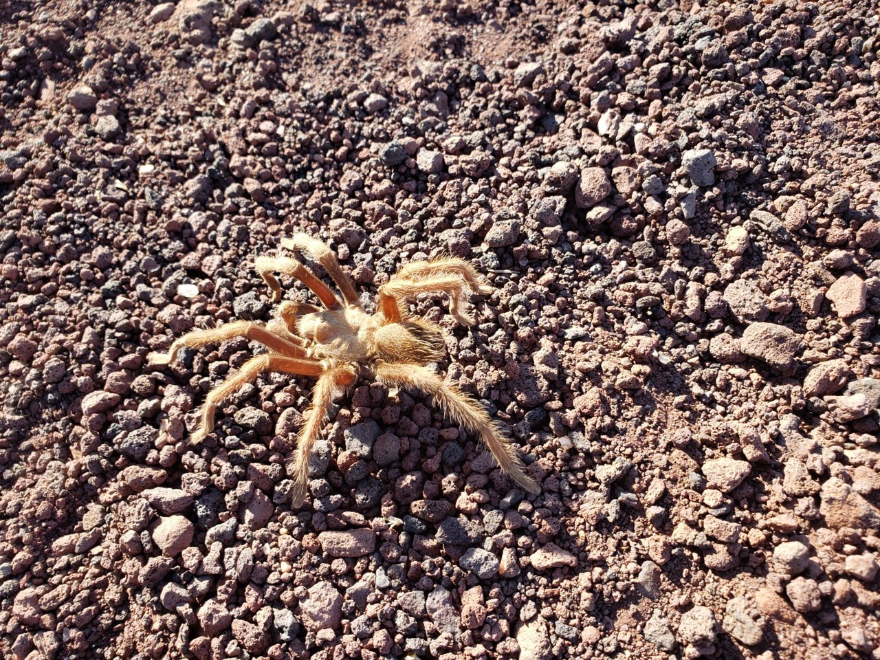 20191110_135930.jpg