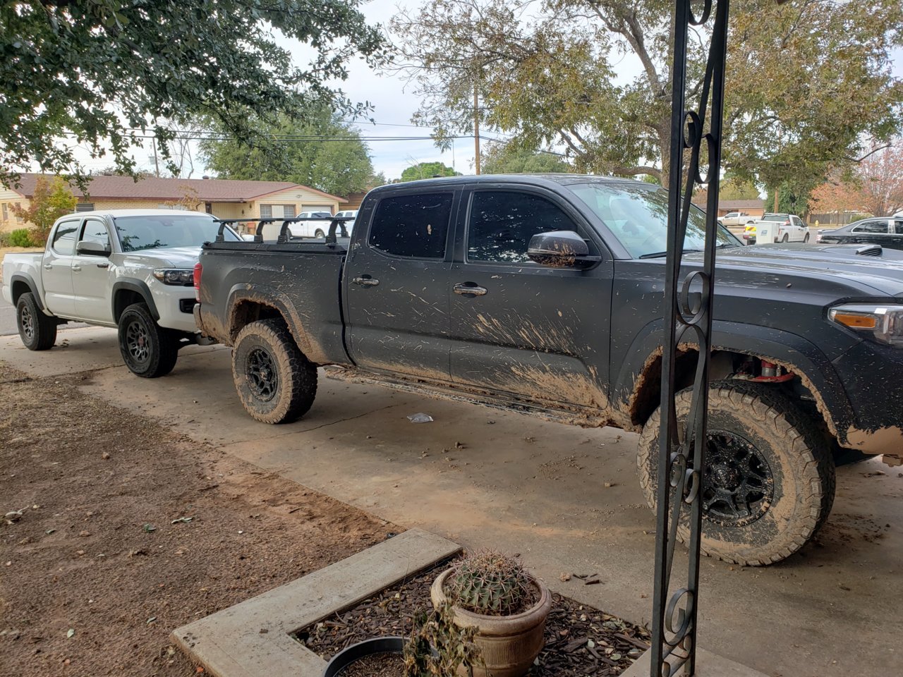 20191110_141056.jpg