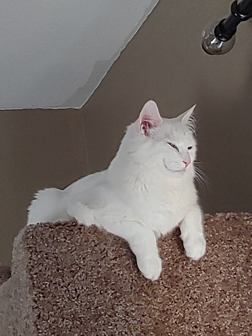 20191111_073827.jpg