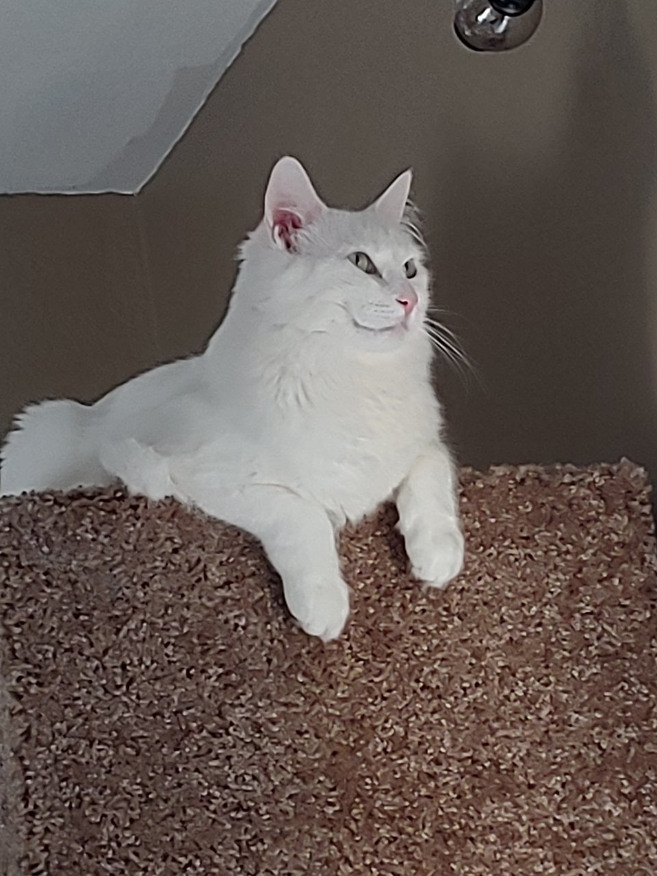 20191111_073829.jpg