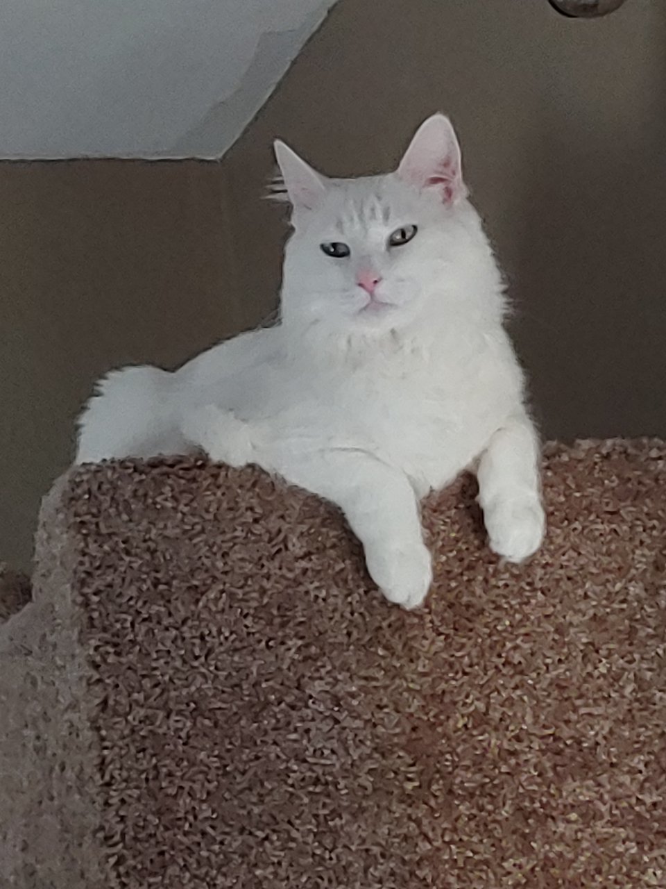 20191111_073835.jpg