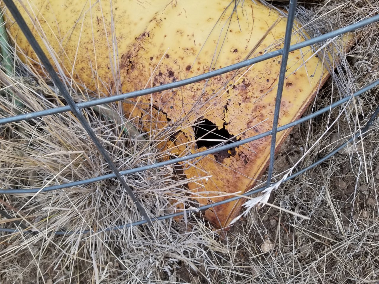 20191111_074417.jpg