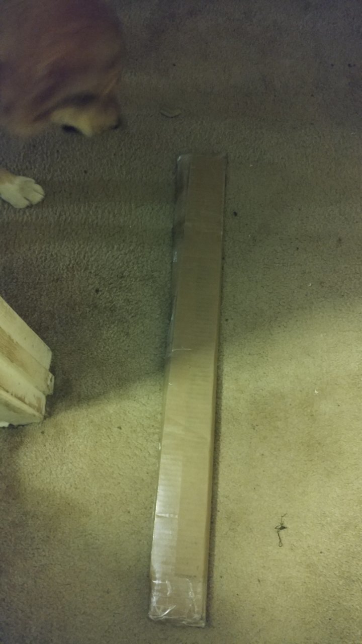 20191111_150345.jpg