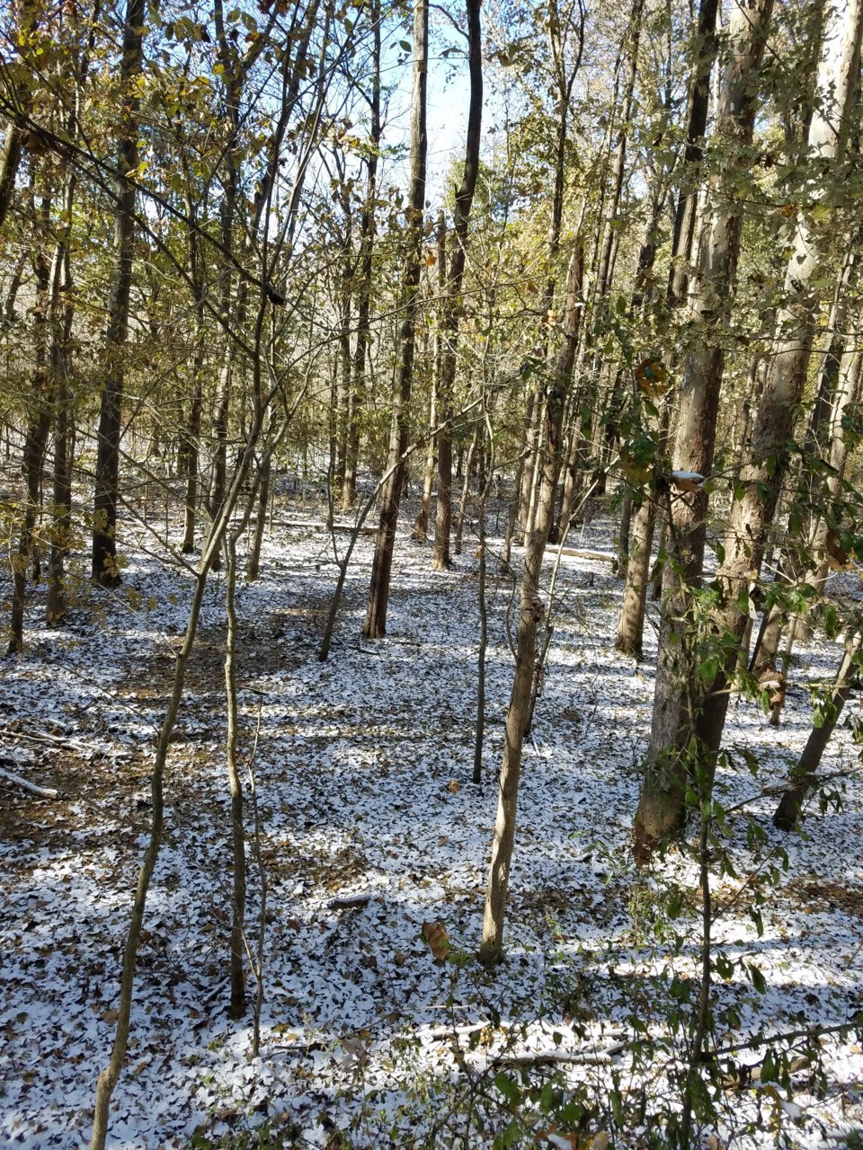 20191112_133522.jpg
