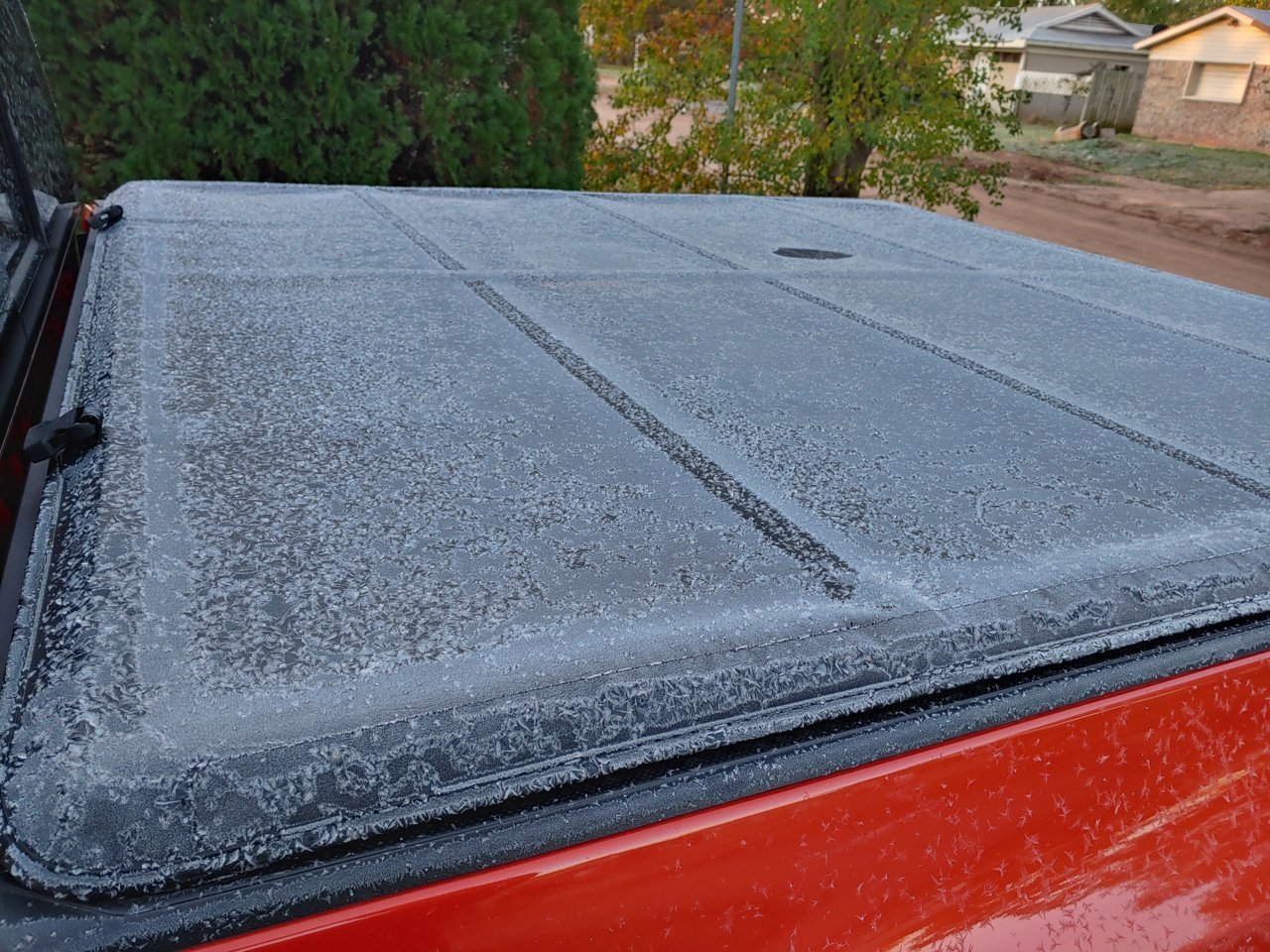 20191113_070700_HDR.jpg