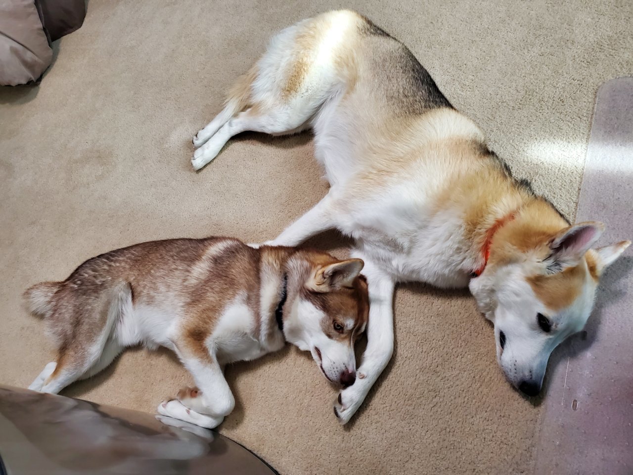 20191113_120458.jpg