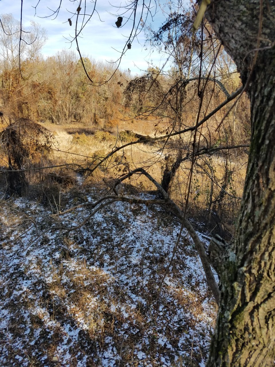 20191113_133910.jpg
