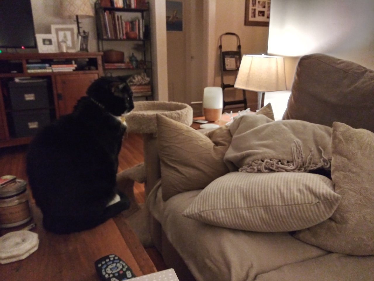 20191113_200829_HDR.jpg
