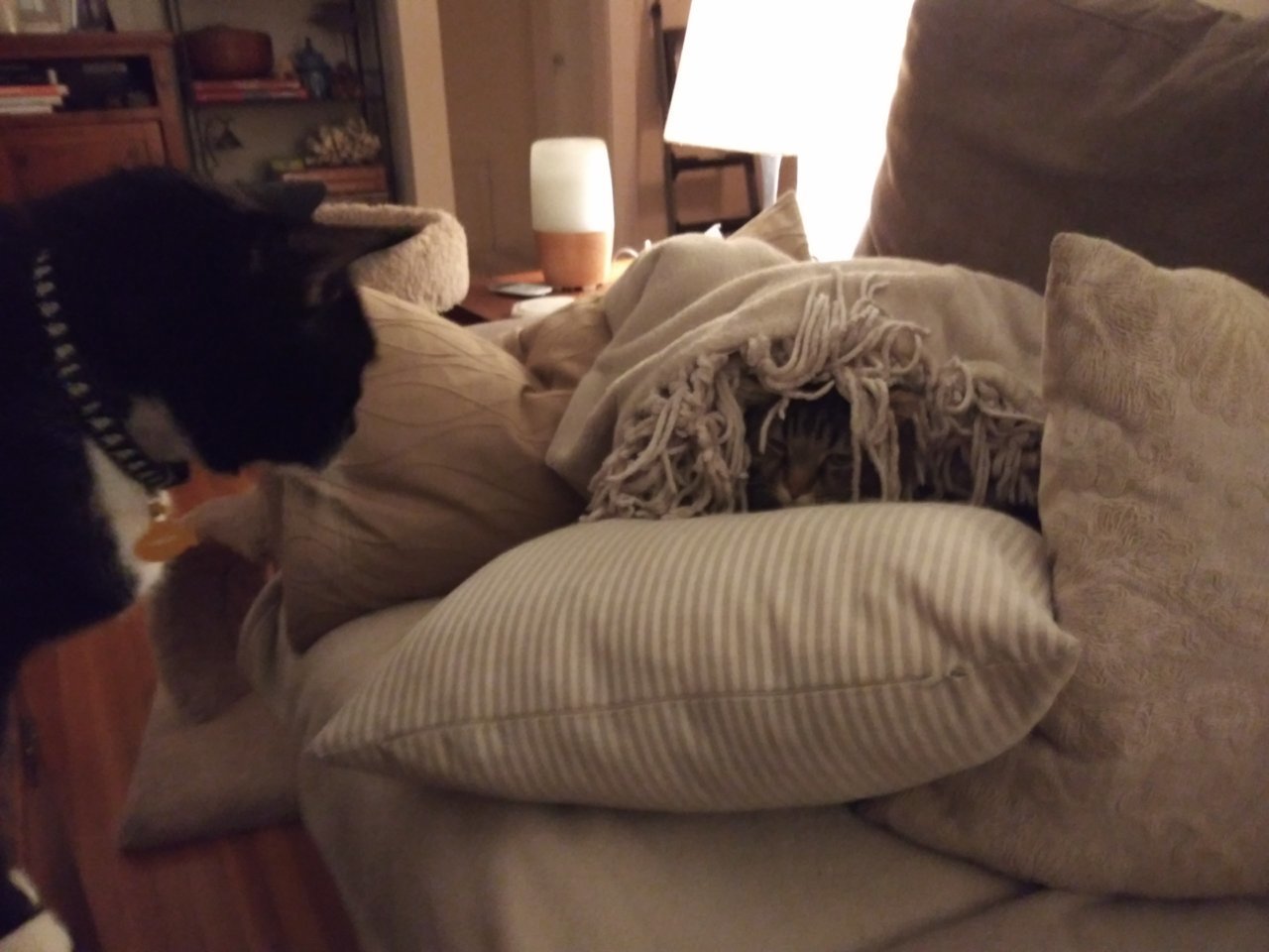 20191113_201218.jpg
