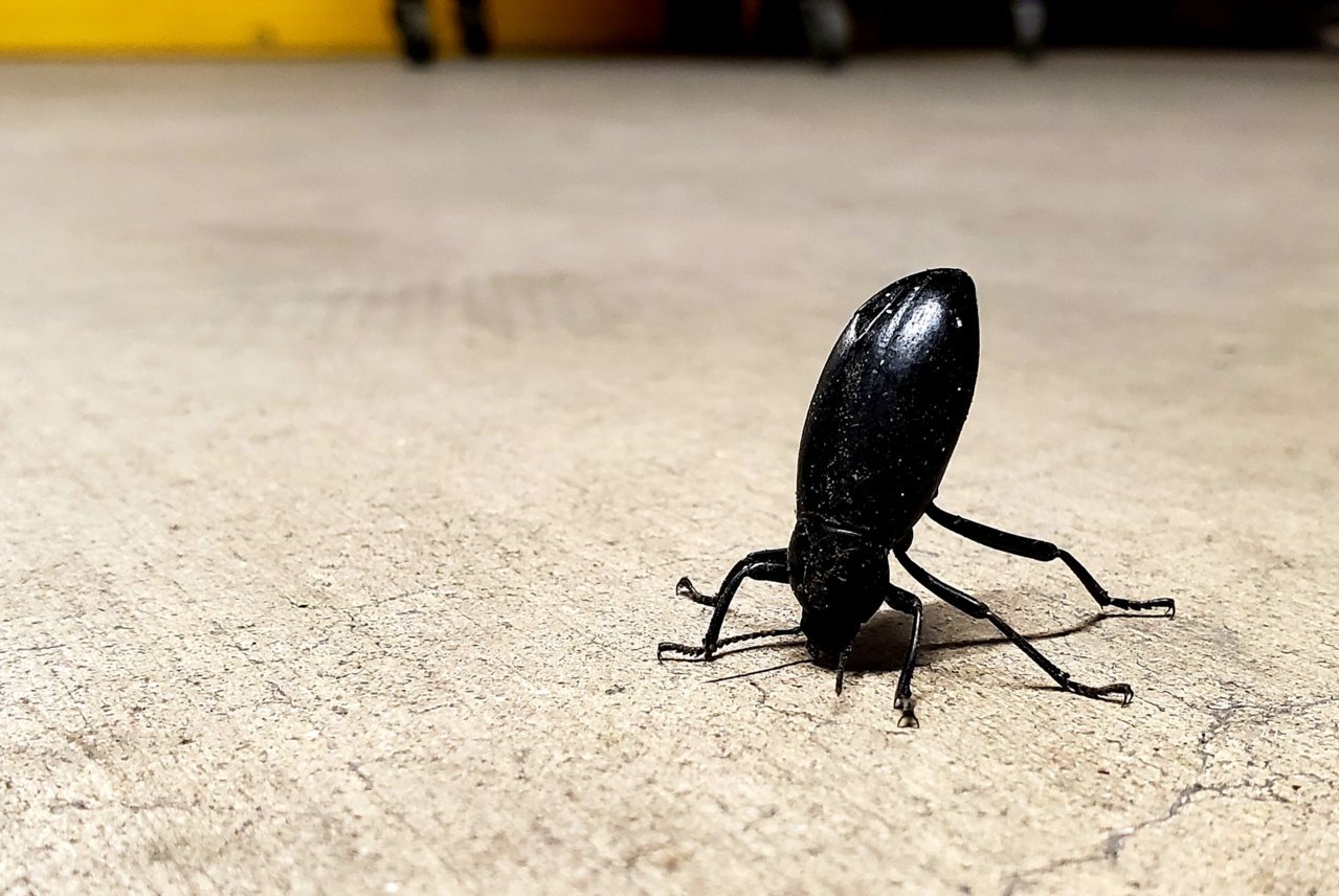 20191113_202238.jpg