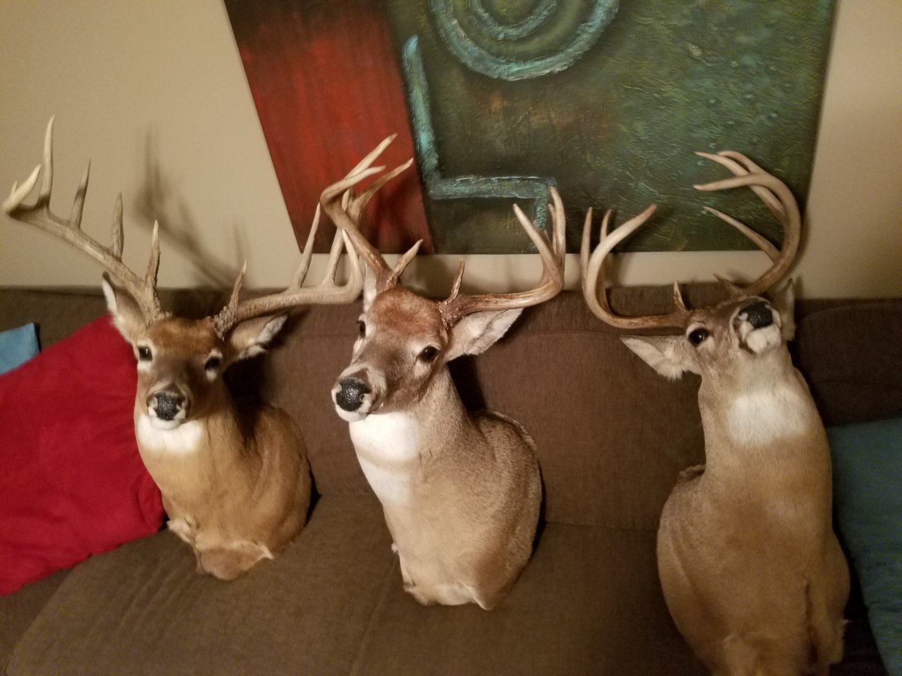 20191114_084218.jpg