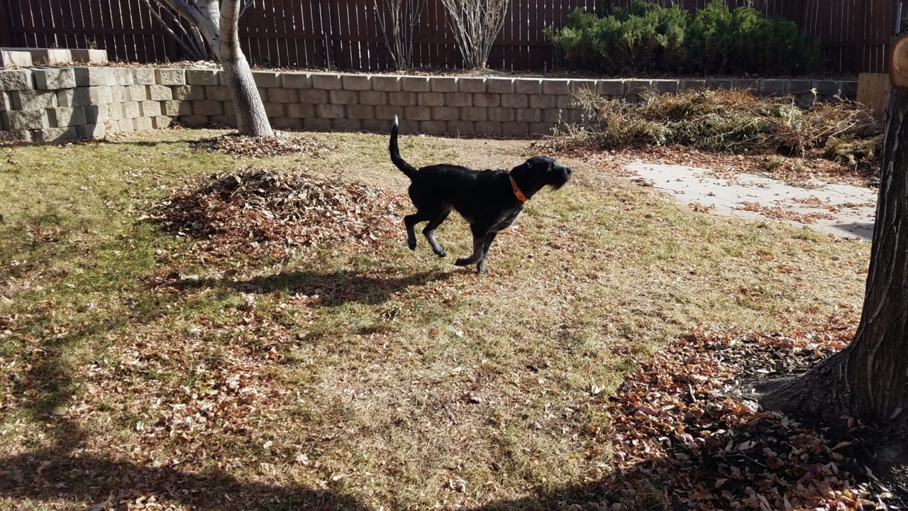 20191114_114009.jpg