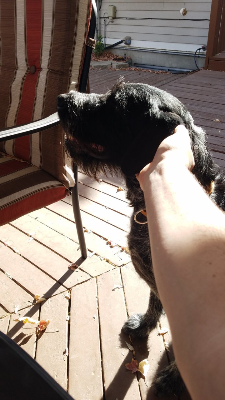 20191114_115426.jpg