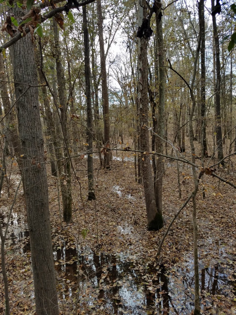 20191114_143616.jpg