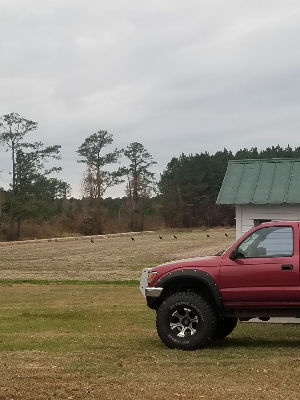 20191114_162213.jpg