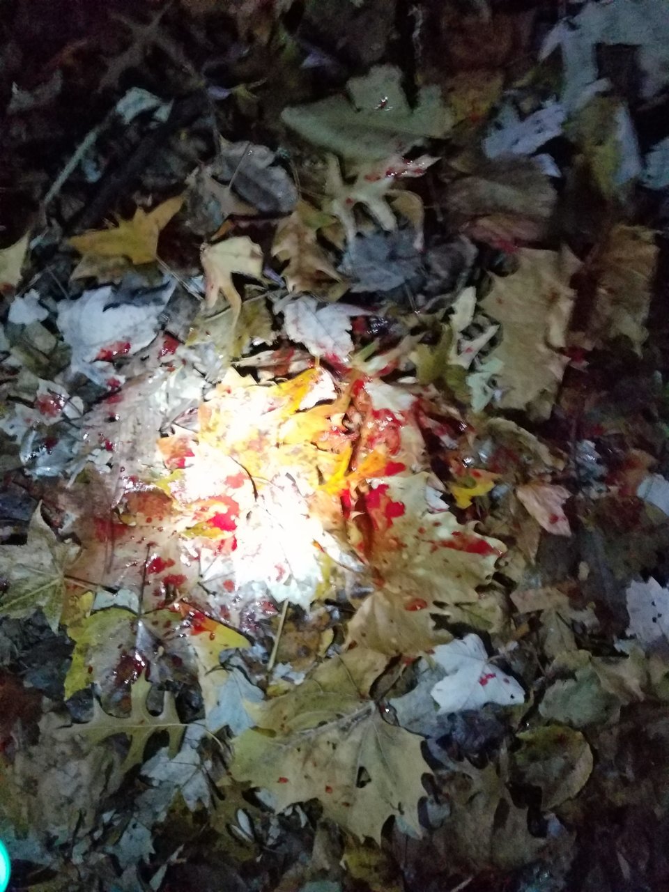 20191114_170717.jpg
