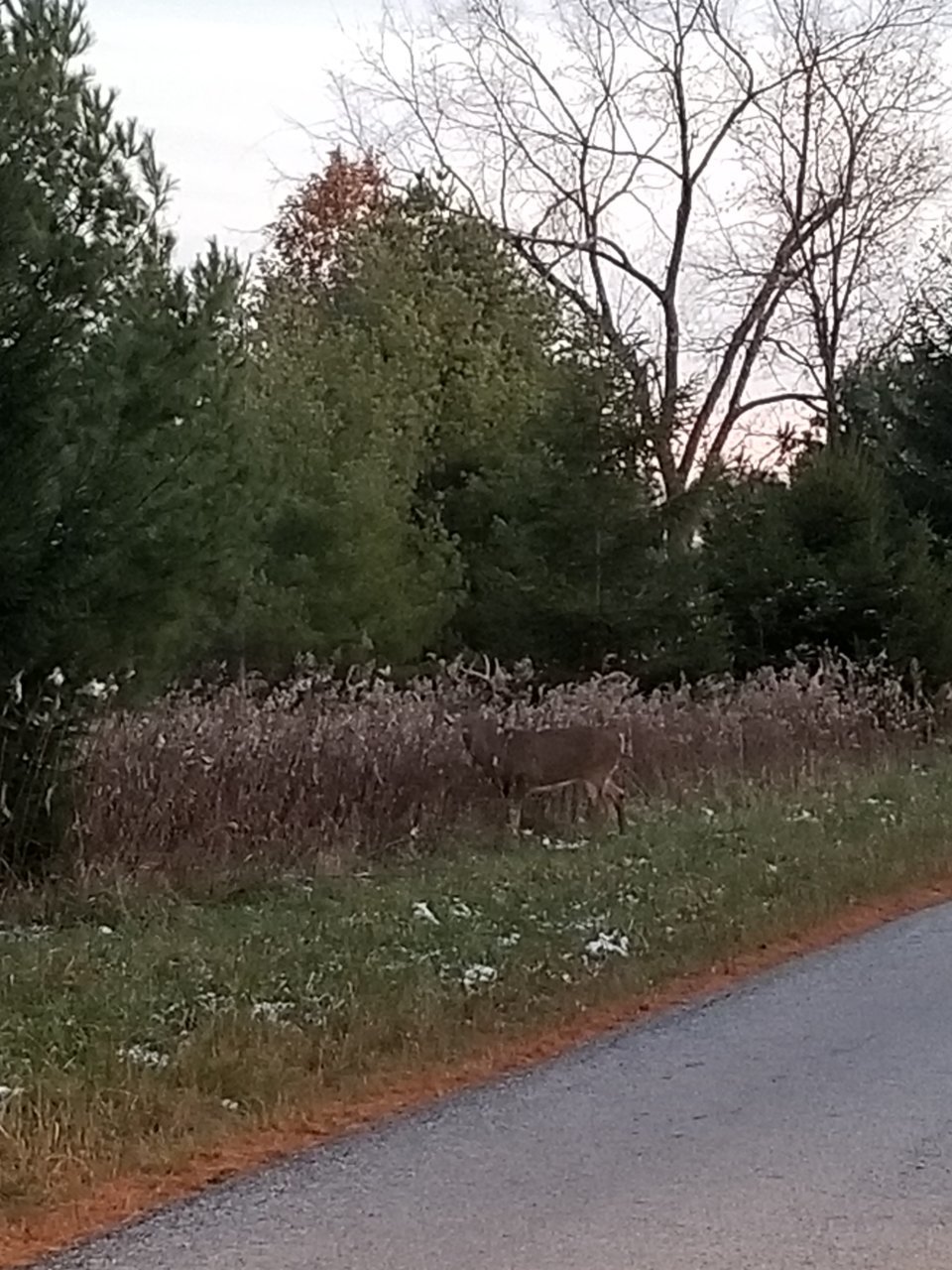20191114_172255.jpg