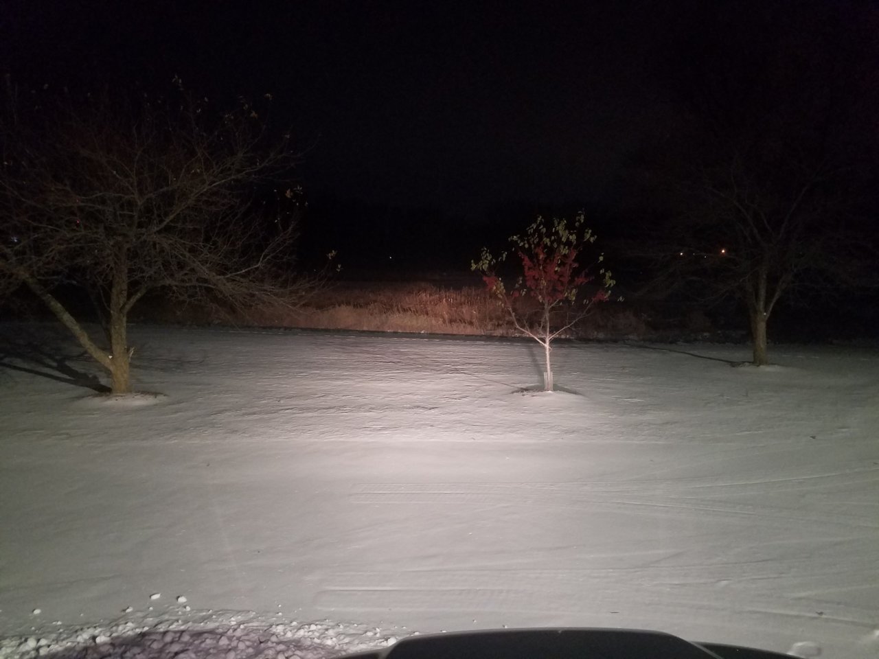 20191114_222741.jpg