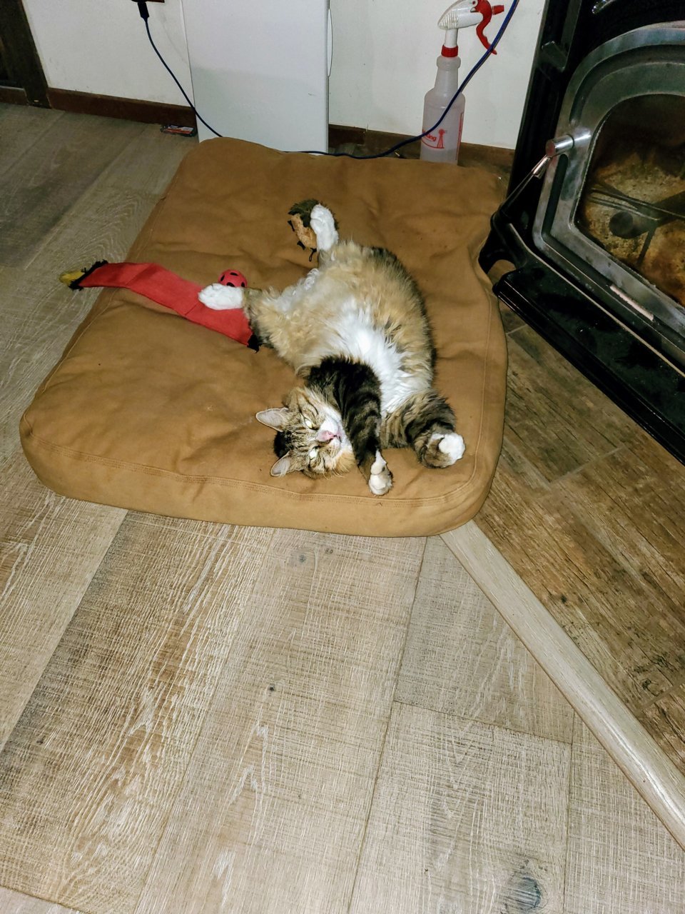 20191115_210650.jpg