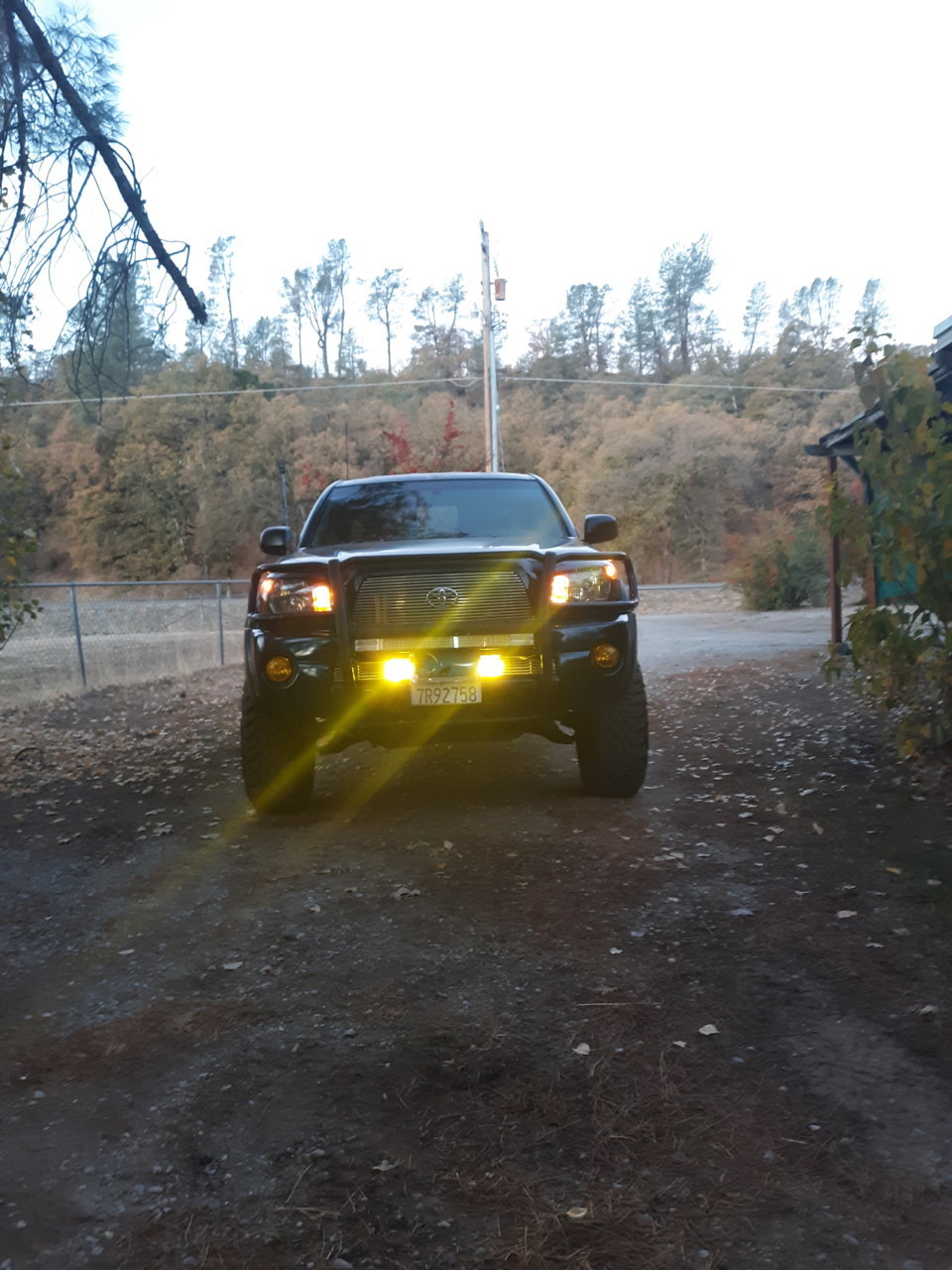 20191116_064925.jpg