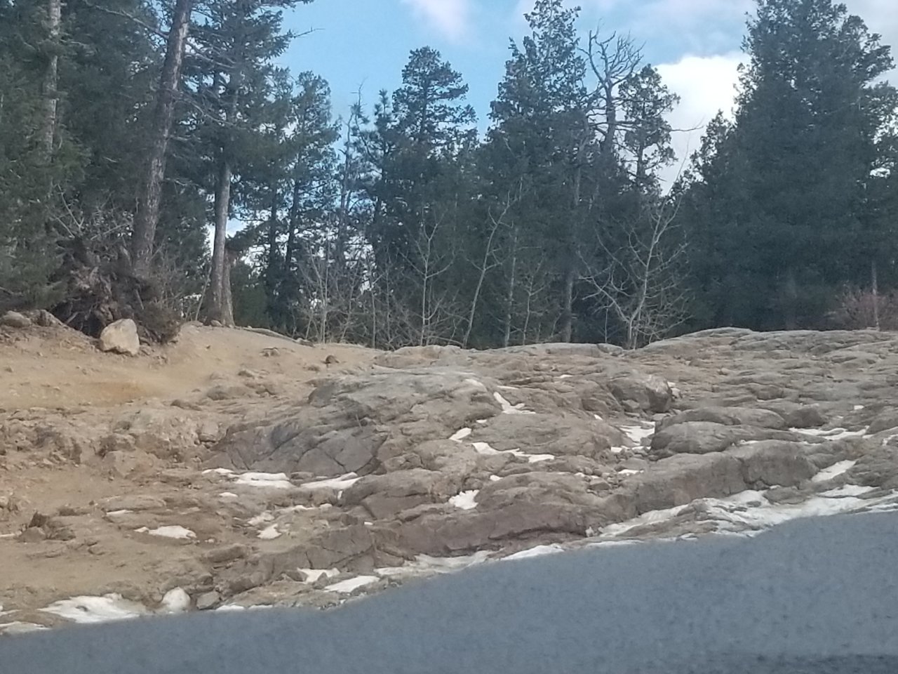 20191116_125248.jpg