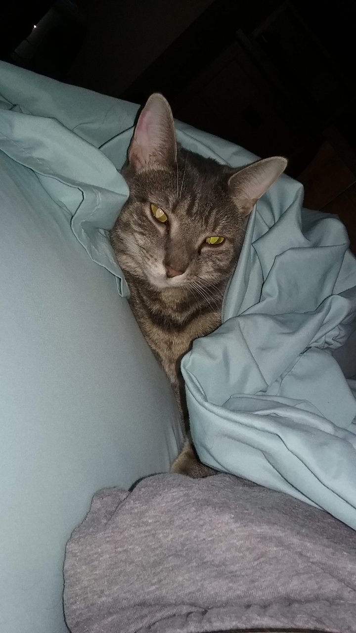 20191117_080759.jpg