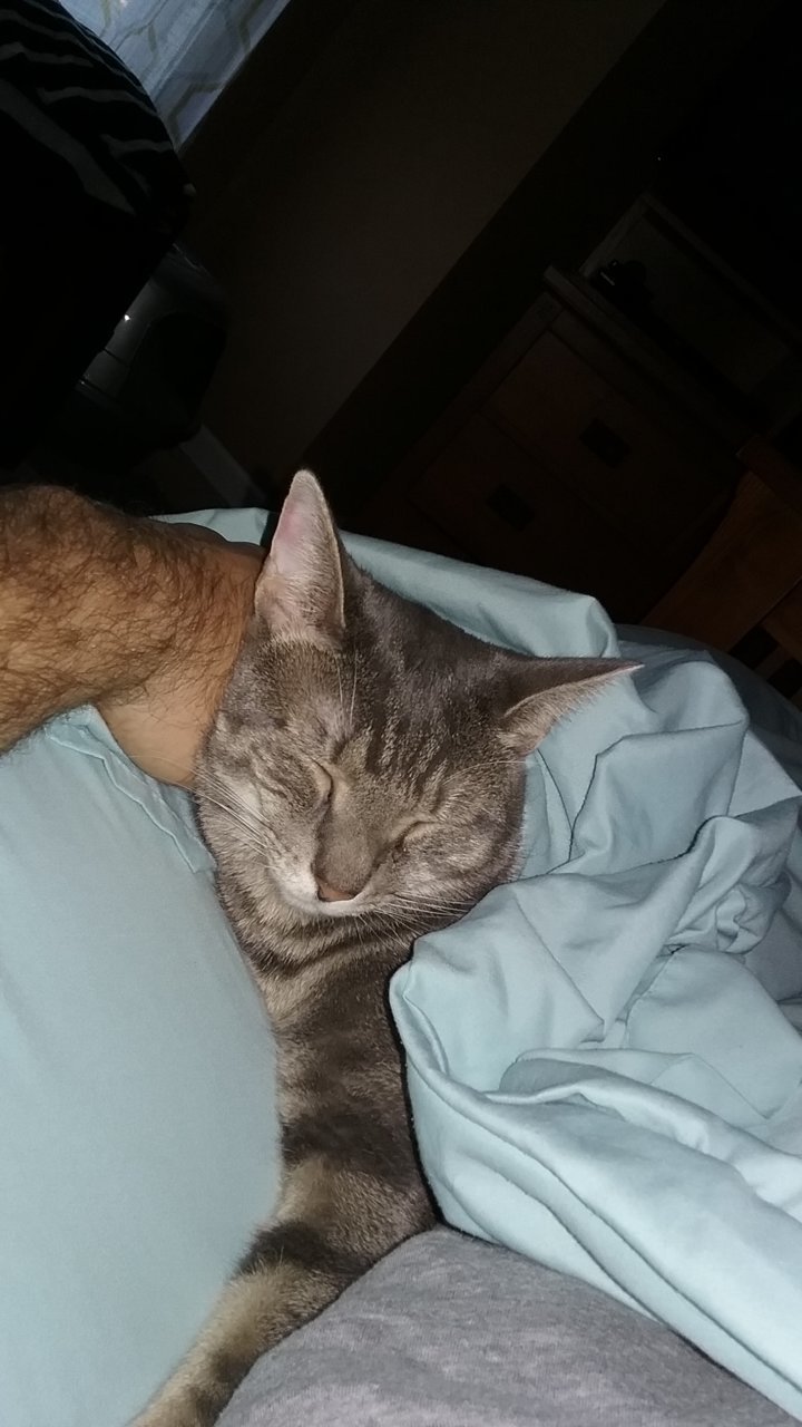 20191117_081513.jpg