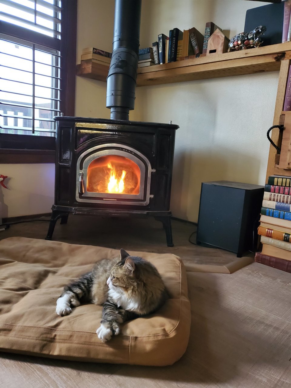 20191117_103415.jpg
