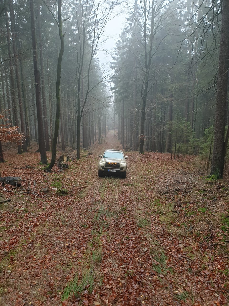 20191117_115534.jpg