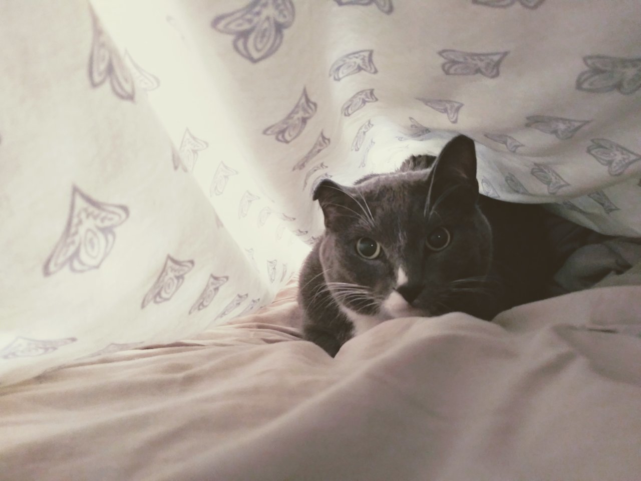 20191117_143150~2.jpg