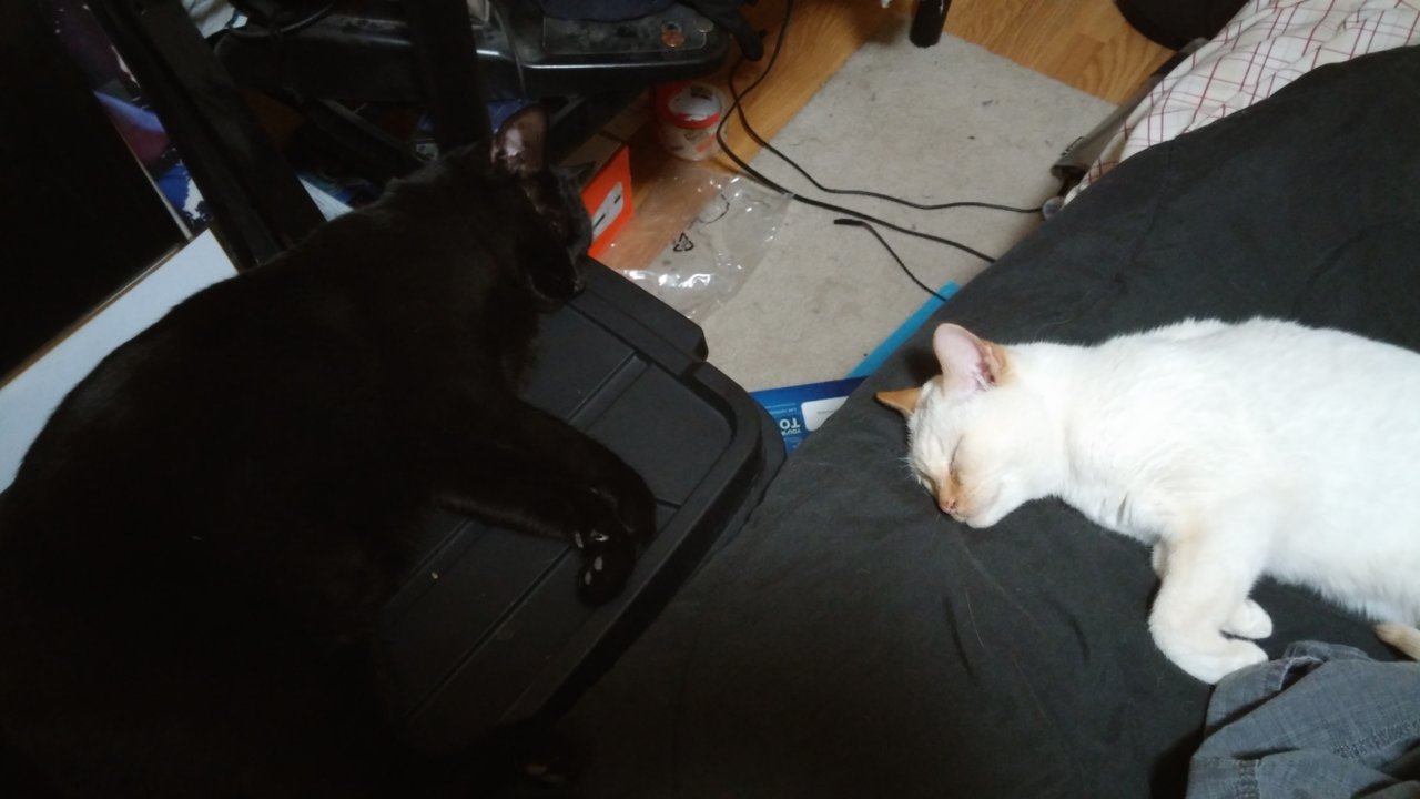 20191117_190241.jpg