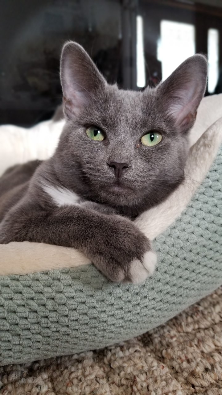20191118_124335.jpg