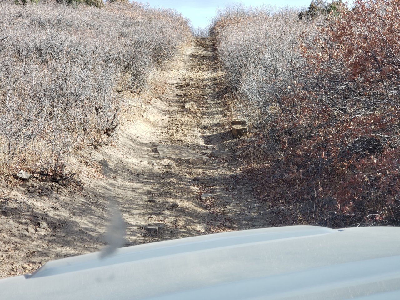 20191118_140705.jpg