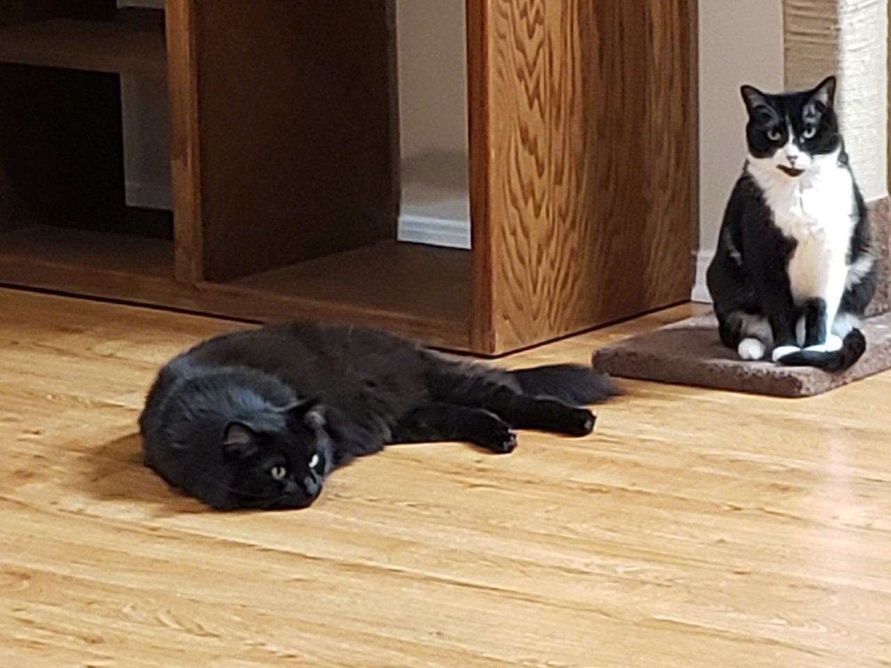 20191118_164204.jpg
