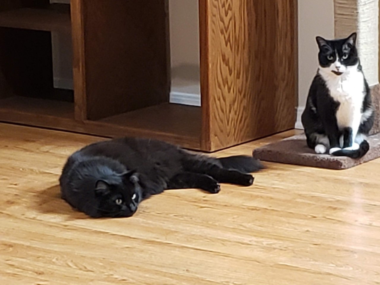 20191118_164204.jpg