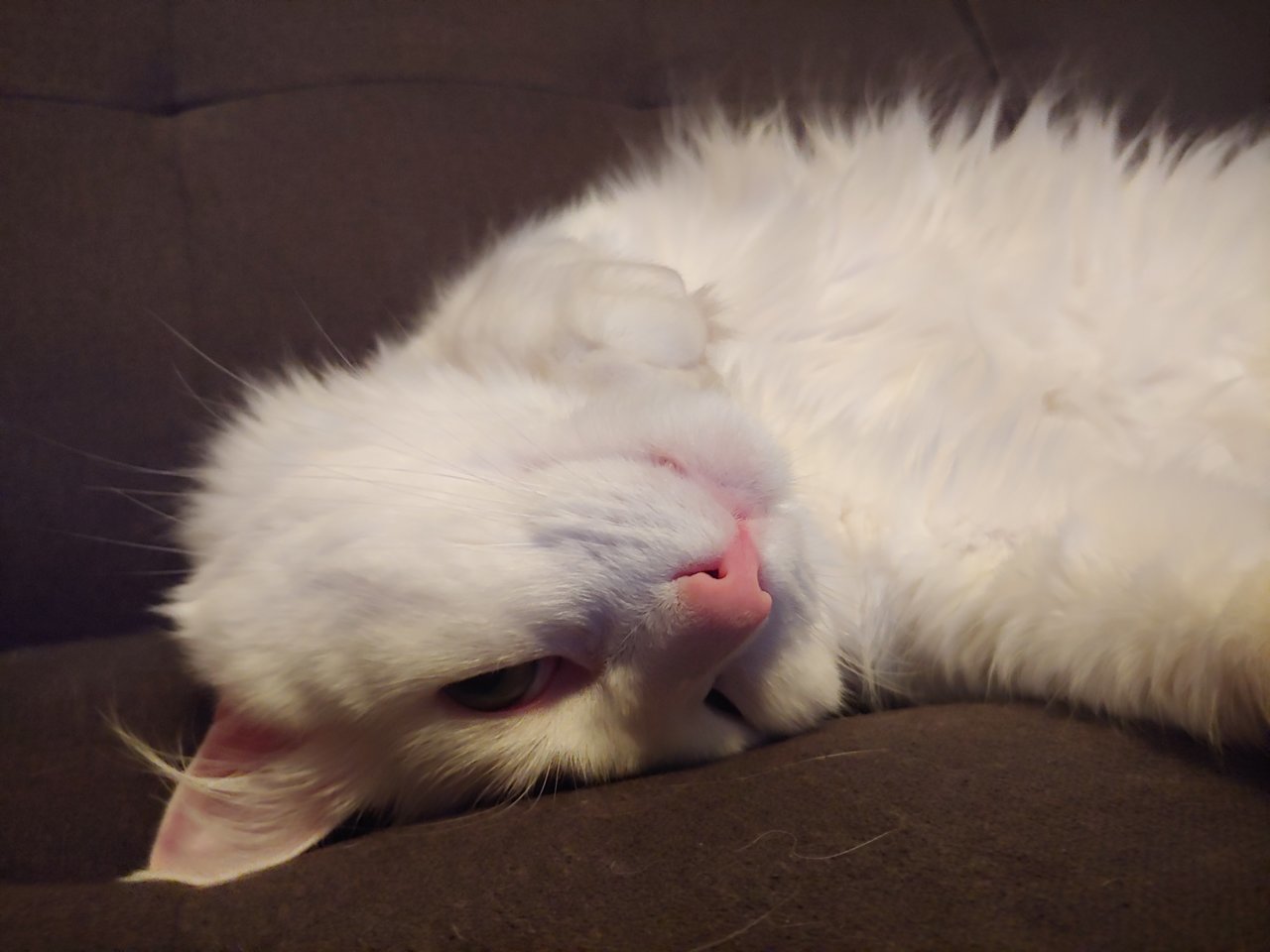 20191118_184015.jpg