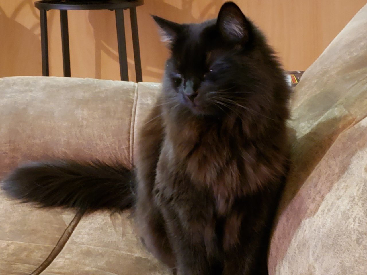 20191118_214701.jpg