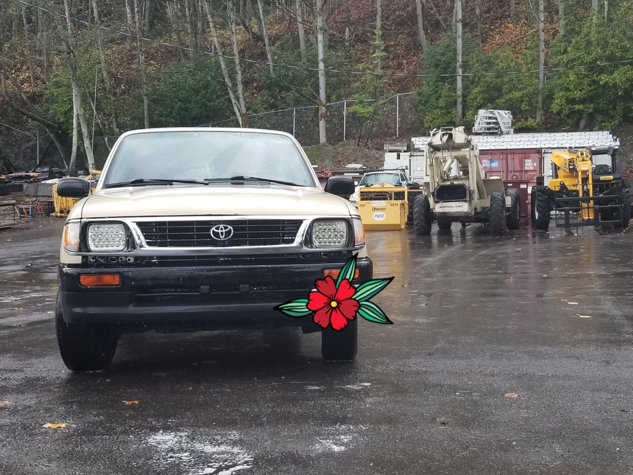 20191119_061353.jpg